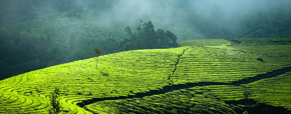 Munnar