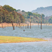 Periyar national park