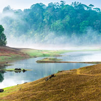 Periyar national park